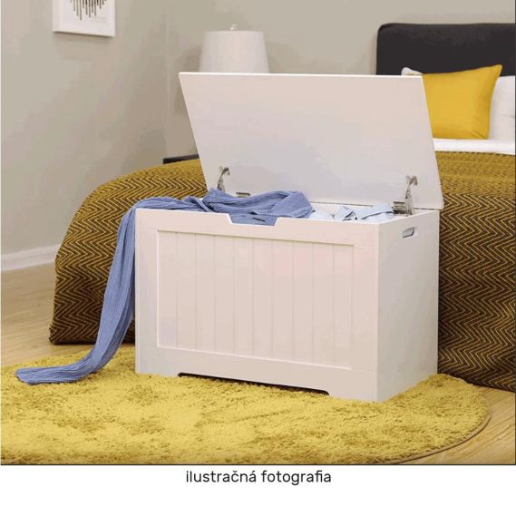 Úložný box, biela, KORDELIA