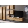 Obývačka VIGO 24, dub wotan/dub wotan