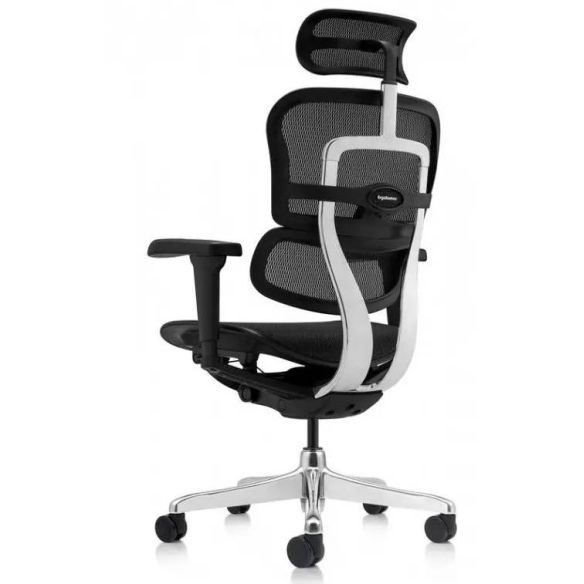 Kancelárske kreslo Ergohuman 2 ULTRA