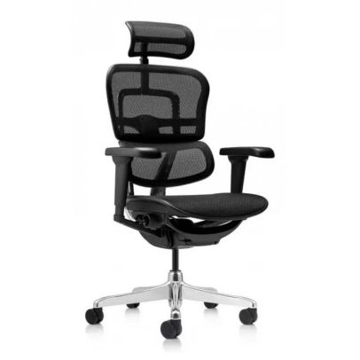 Kancelárske kreslo Ergohuman 2 ULTRA