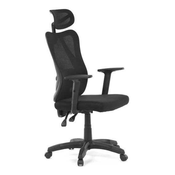 Kancelárska stolička, synchrónny mechanizmus, čierna sieťovina, KA-R215 BK