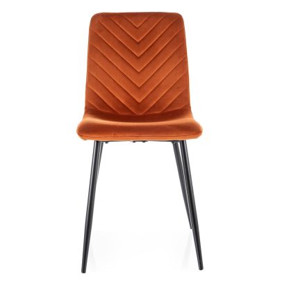 Jedálenská stolička DAREN VELVET, čierna/cynamon bluvel 4215 2